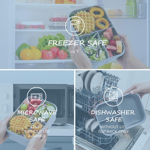 MISS BIG Bento Box is freezer-safe, ideal for meal prep and leftovers