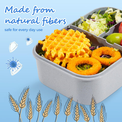 MISS BIG Bento Box lid shown for safe microwave reheating with lid removed
