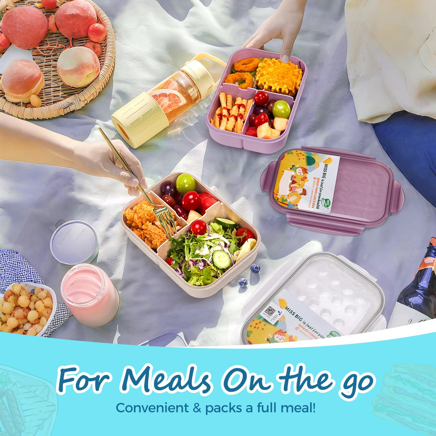 MISS BIG Bento Box with three compartments supports balanced meals for kids and adults.