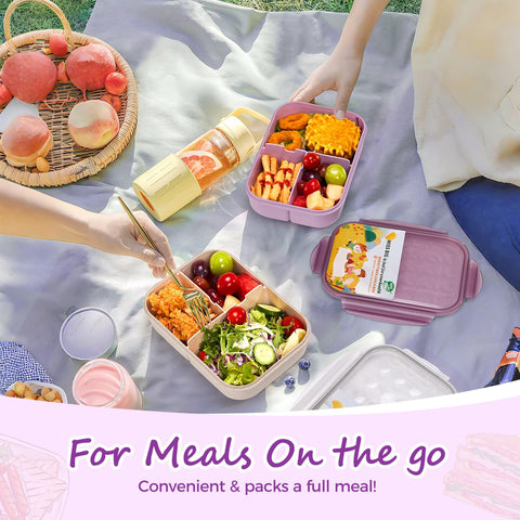 MISS BIG lunch box kids three-compartment design supports balanced meals