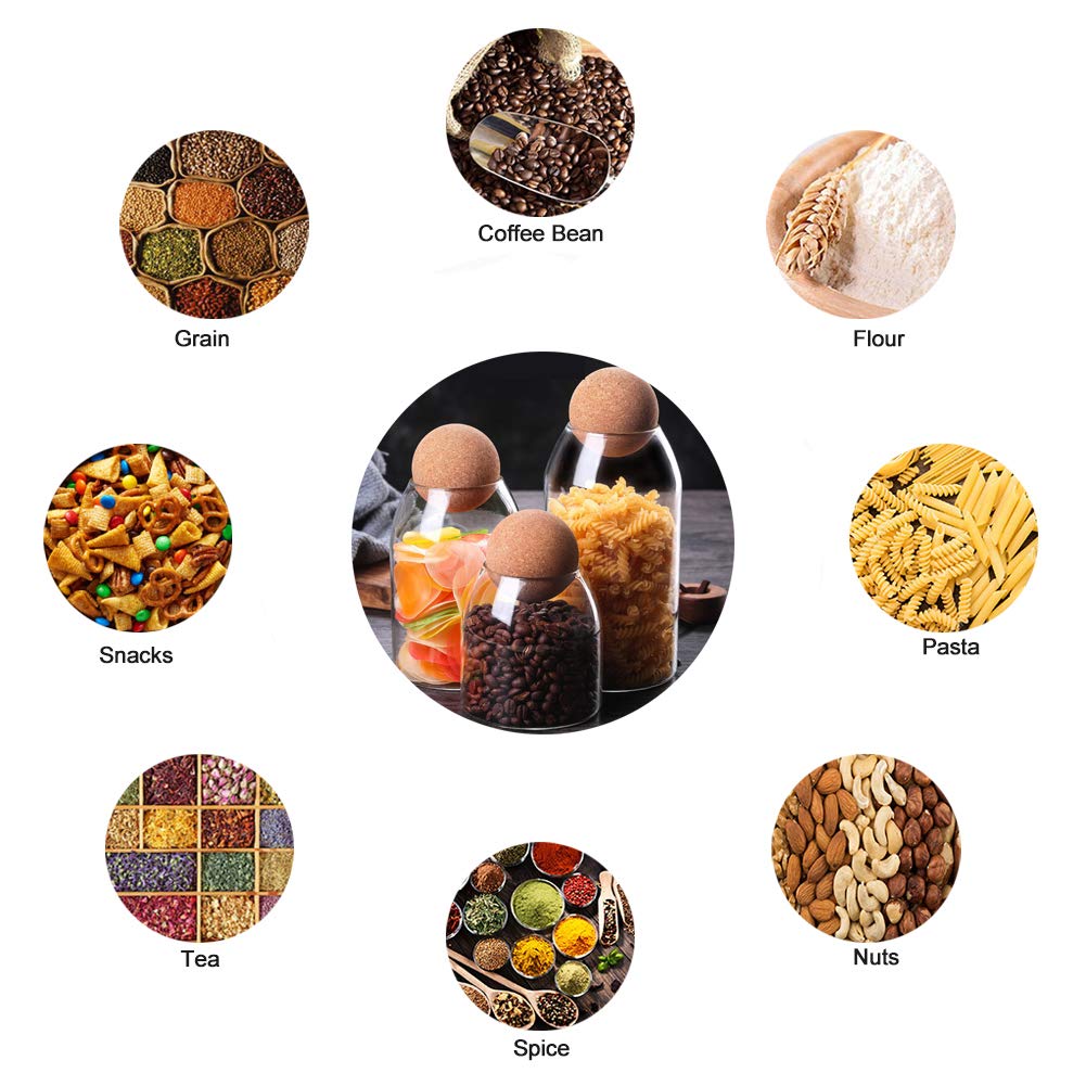 MOLFUJ BPA-free glass container resists stains and handles temperature changes.