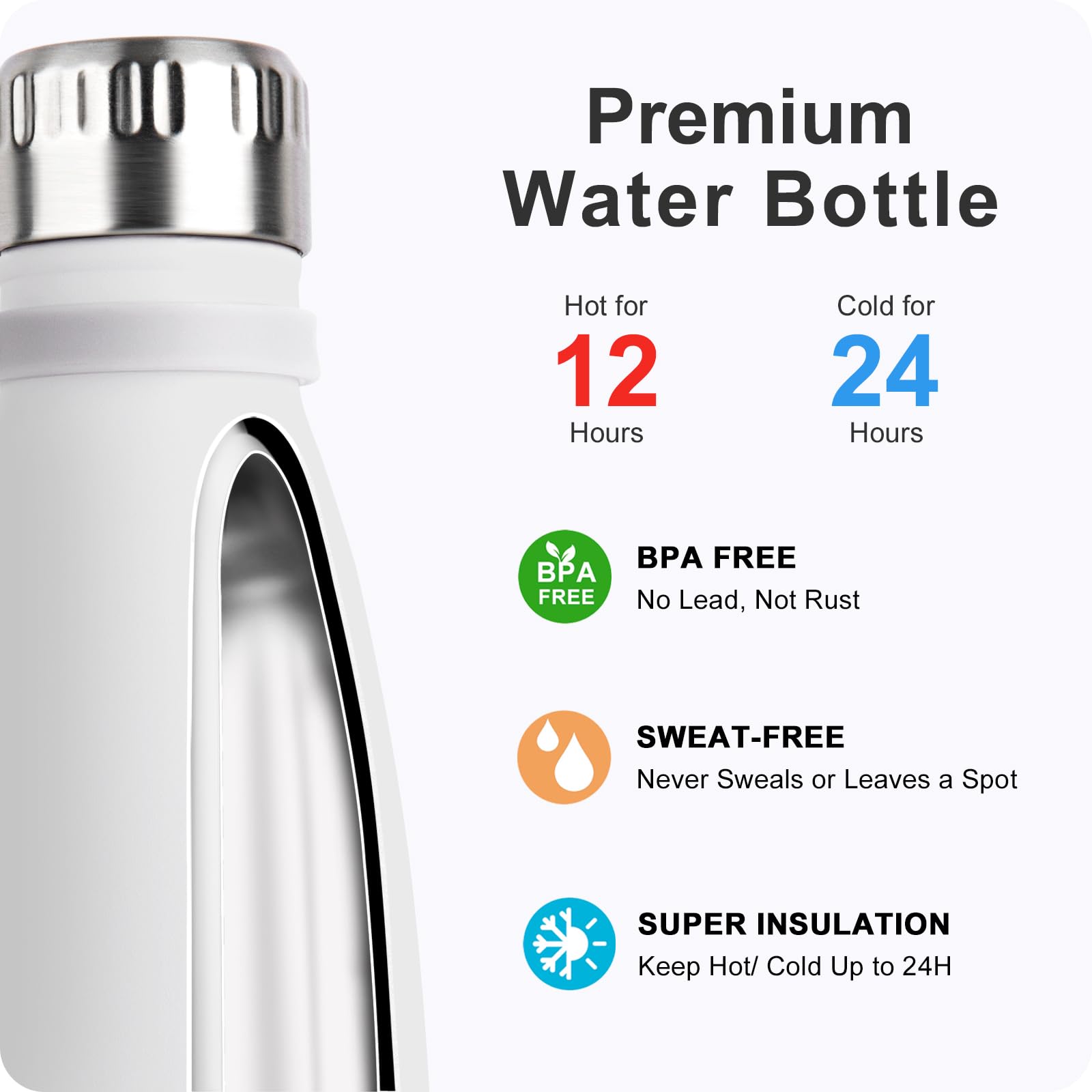 Mollcity bottle shown with ice inside to highlight insulation