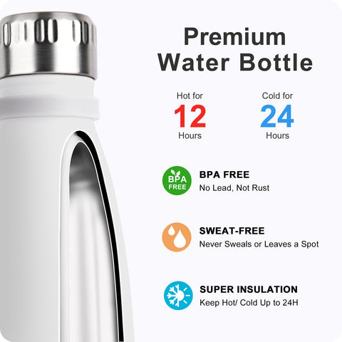 Mollcity bottle shown with ice inside to highlight insulation