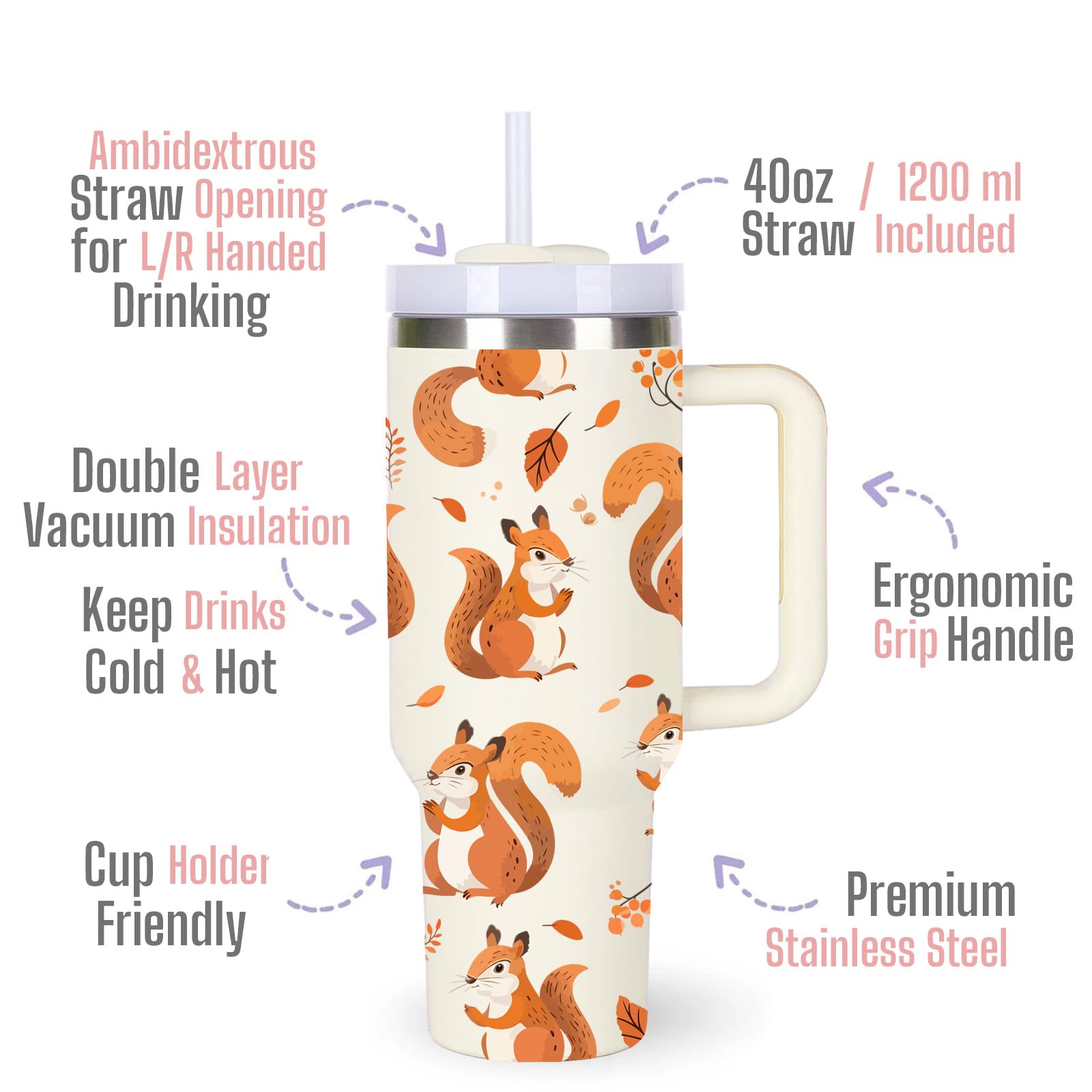 momocici squirrel lover cup gift ideal for nature lovers and gifting.