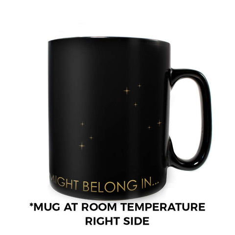 Morphing Mugs gift-ready packaging makes a wonderful present for Potter fans.