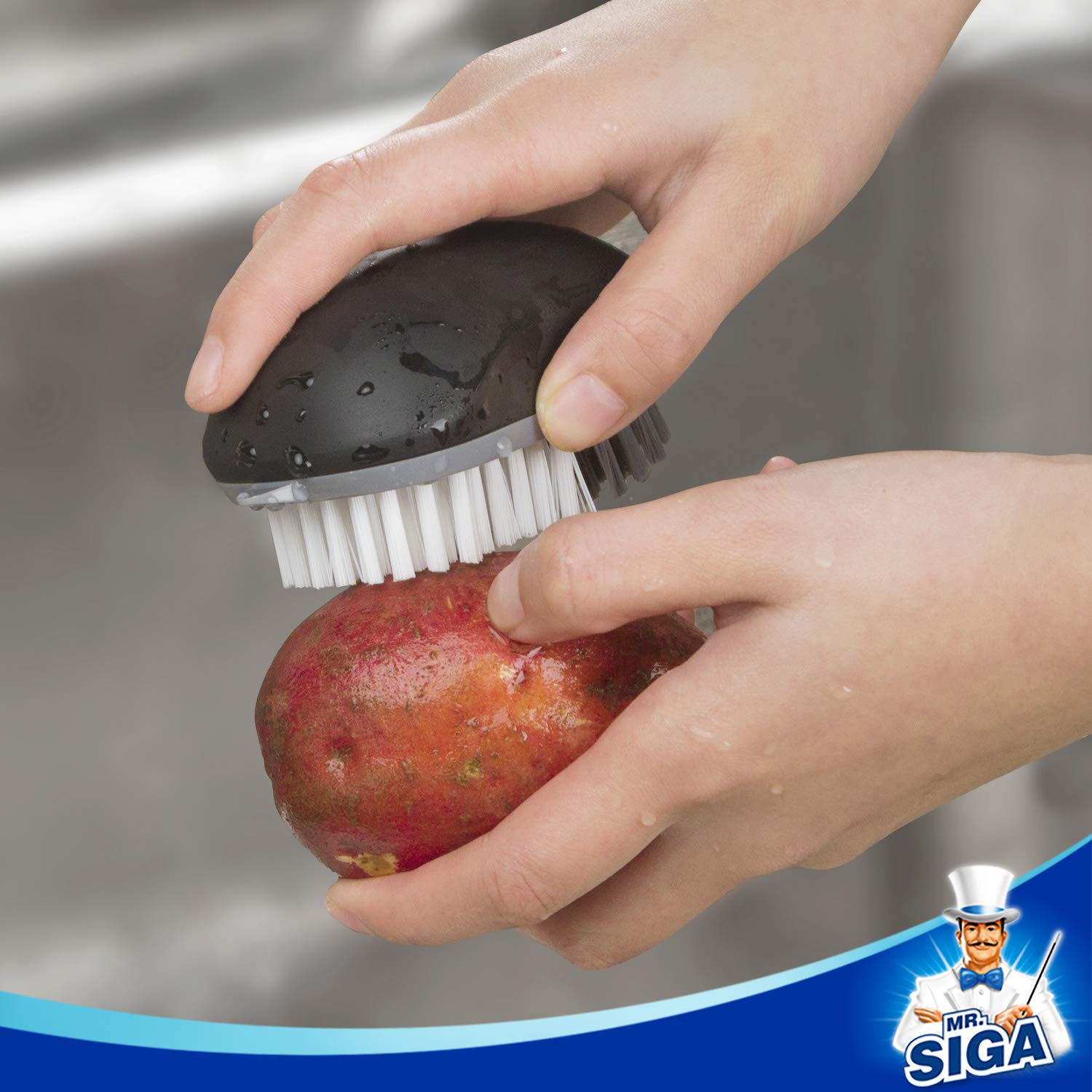 Pack of two MR.SIGA brushes in black for daily kitchen use