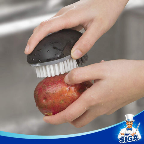 Pack of two MR.SIGA brushes in black for daily kitchen use