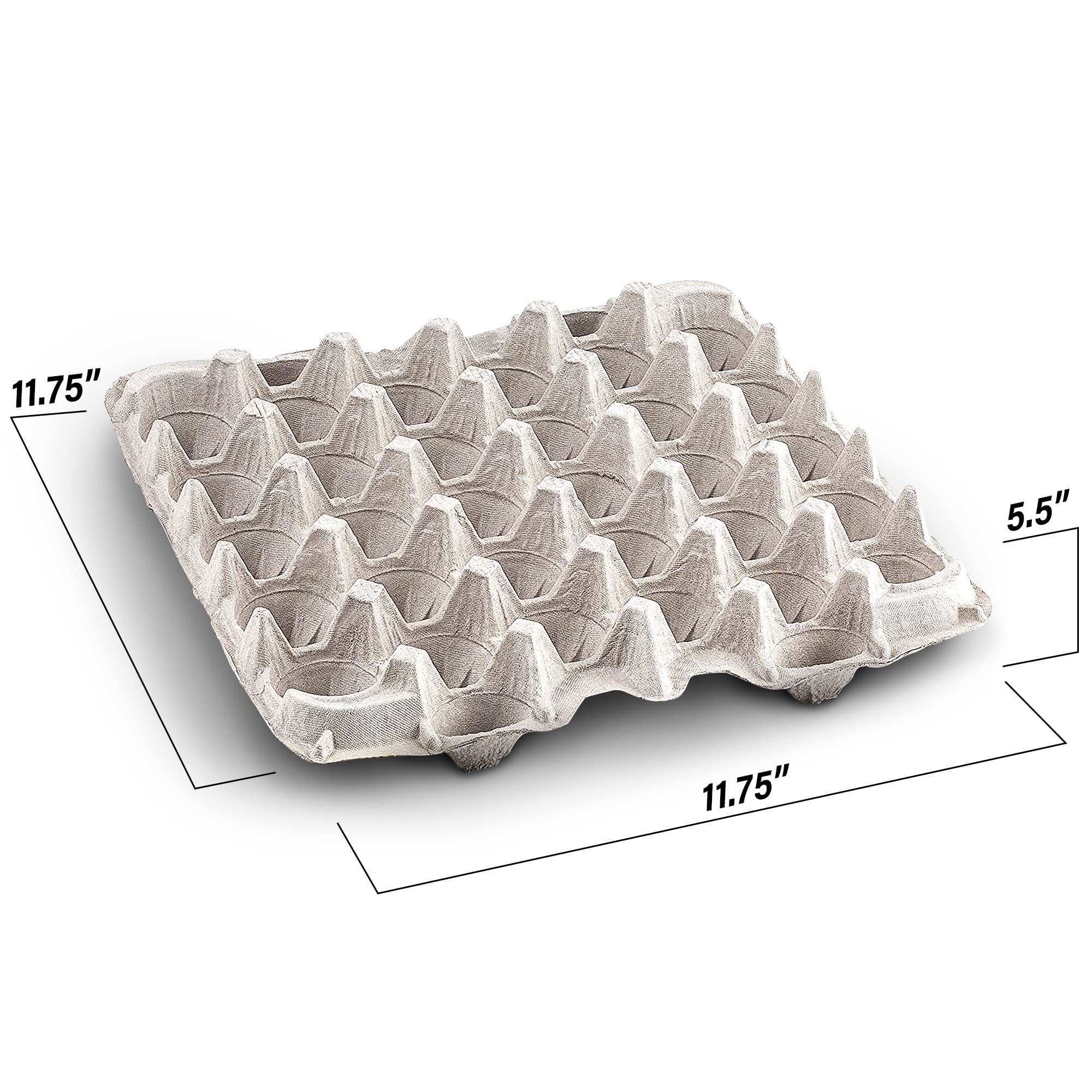 MT Products biodegradable pulp-fiber carton demonstrates durable construction.