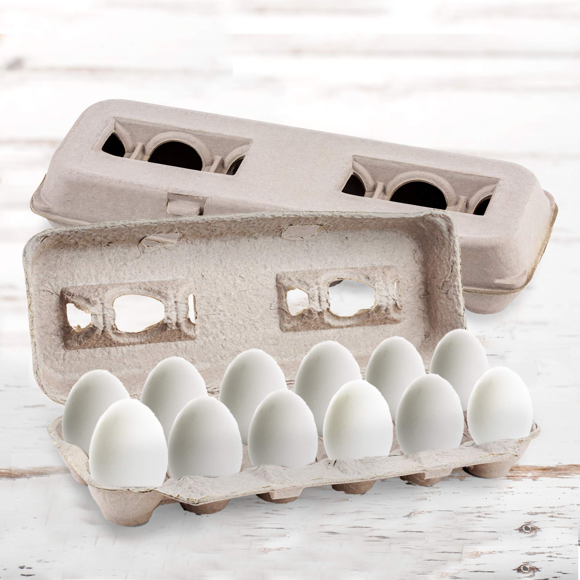 MT Products multi use cartons suit crafts seed trays or small gifts