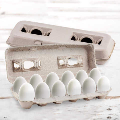 MT Products multi use cartons suit crafts seed trays or small gifts