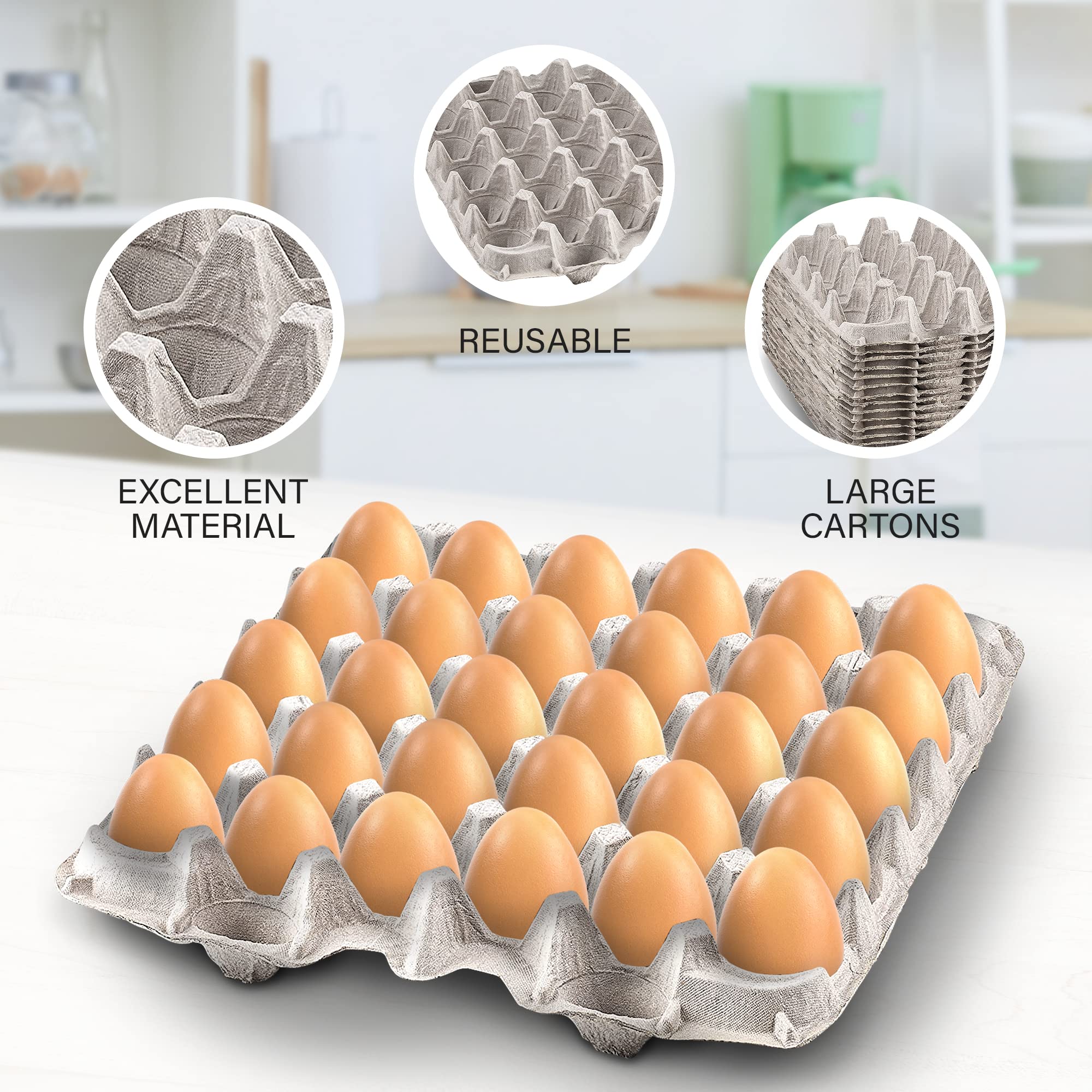 MT Products chicken and duck egg storage in farm-to-market setup.