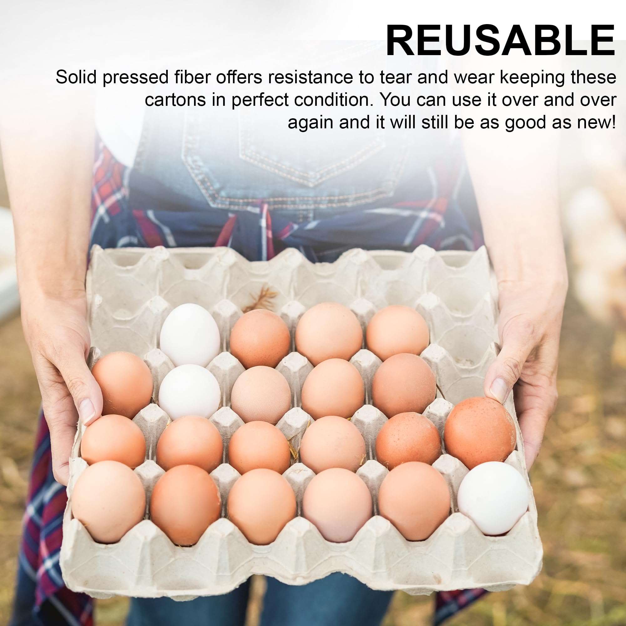 MT Products decomposable plant filler using egg cartons for lightweight soil support.