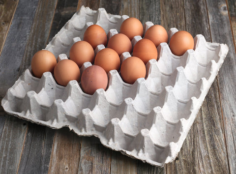 MT Products eggs-not-included note on packaging for accurate expectations.