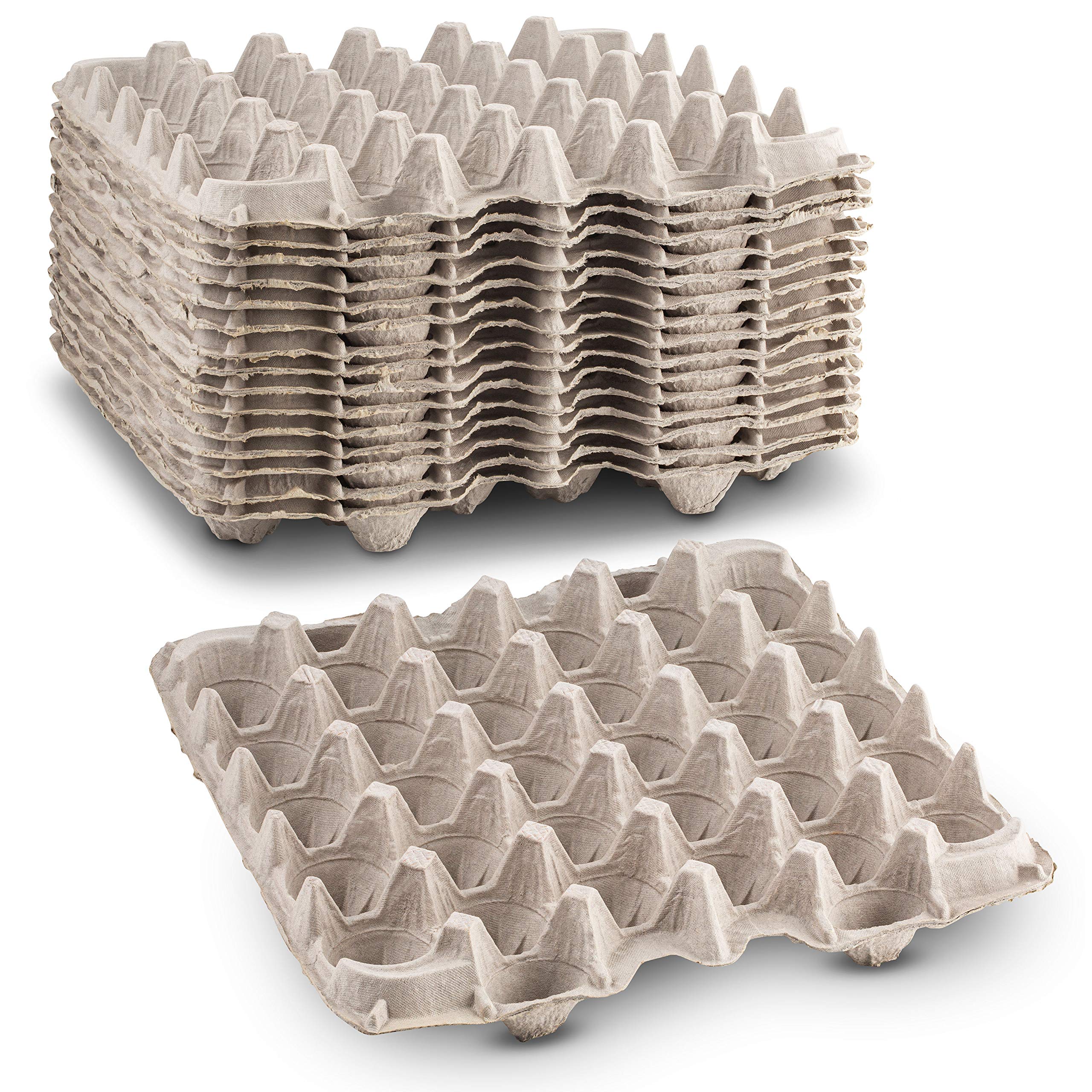 MT Products pulp-fiber egg flat cartons securely hold up to 30 eggs.