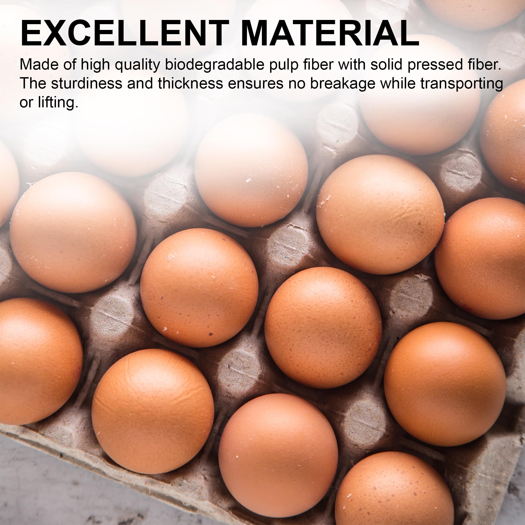 MT Products reusable pulp-fiber egg carton ready for multiple uses.