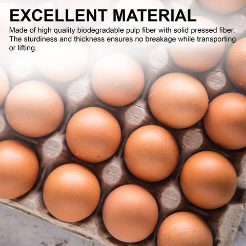 MT Products reusable pulp-fiber egg carton ready for multiple uses.