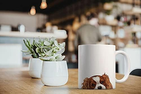 MUGBREW Cavalier King Charles Spaniel mug gift idea for dog lovers