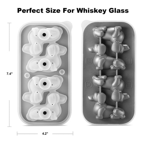 Nax Caki DIY ice ideas elevate beverages at home