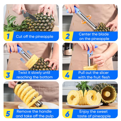 Newness pineapple shell bowl, preserves the rind for serving bowls