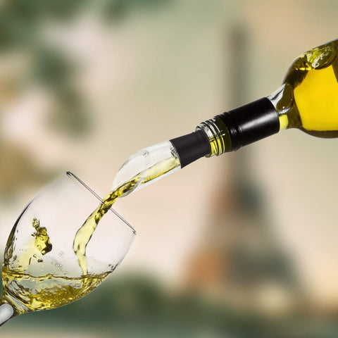 Newward Iceless Wine Chiller compact design fits standard bottles