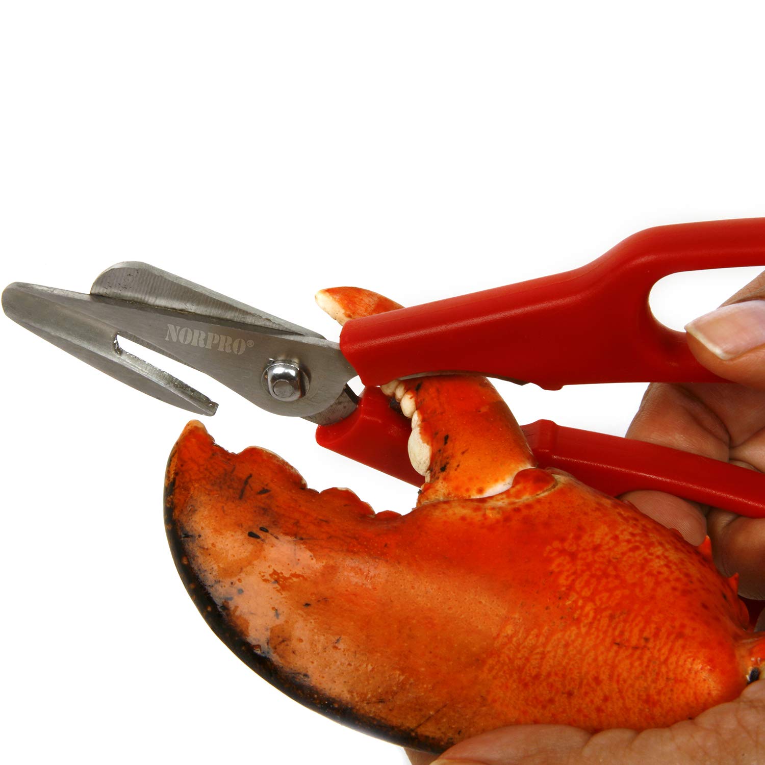 Norpro 6516 red seafood shears with detachable blades for easy cleaning