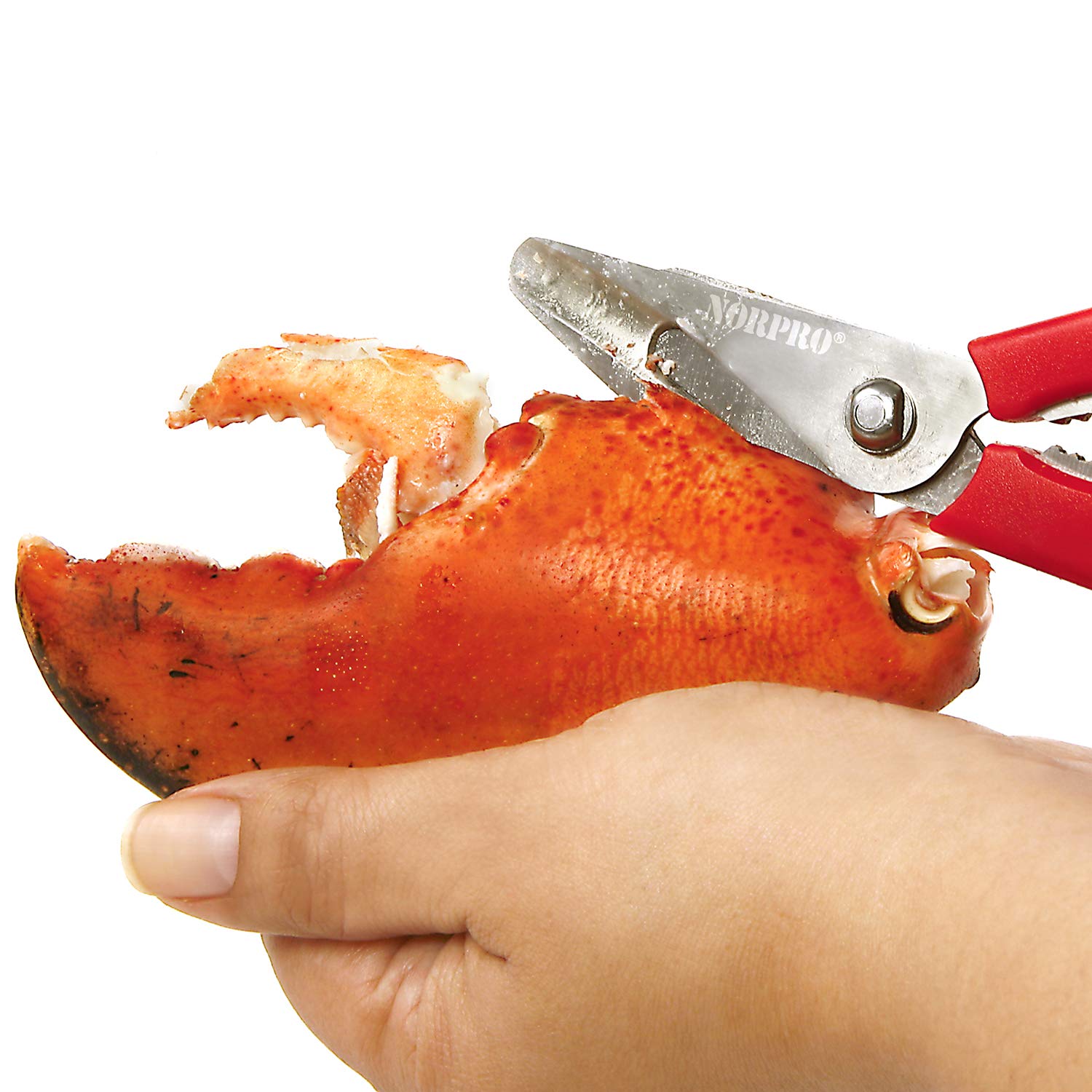 Norpro 6516 red seafood shears showing integrated grips for claw handling