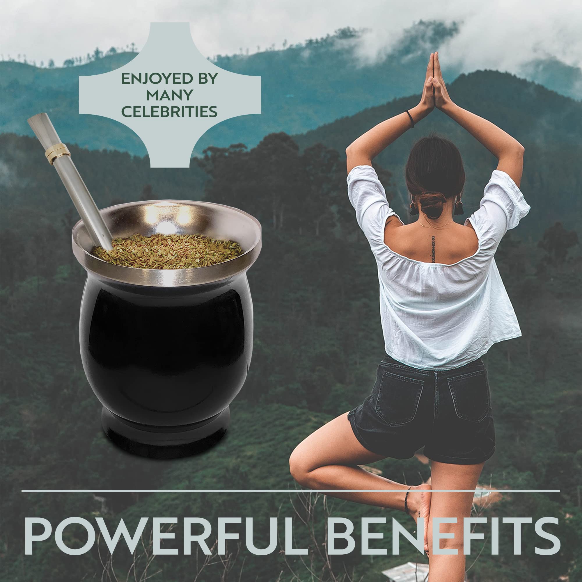 Norte Yerba Mate Cup Kit black finish adds sleek style.