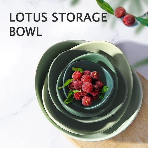 Notakia five-size bowls, layered flower colors, great for portioning meals.