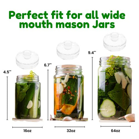 Nourished Essentials crack-proof glass weights deliver durable, reusable performance.