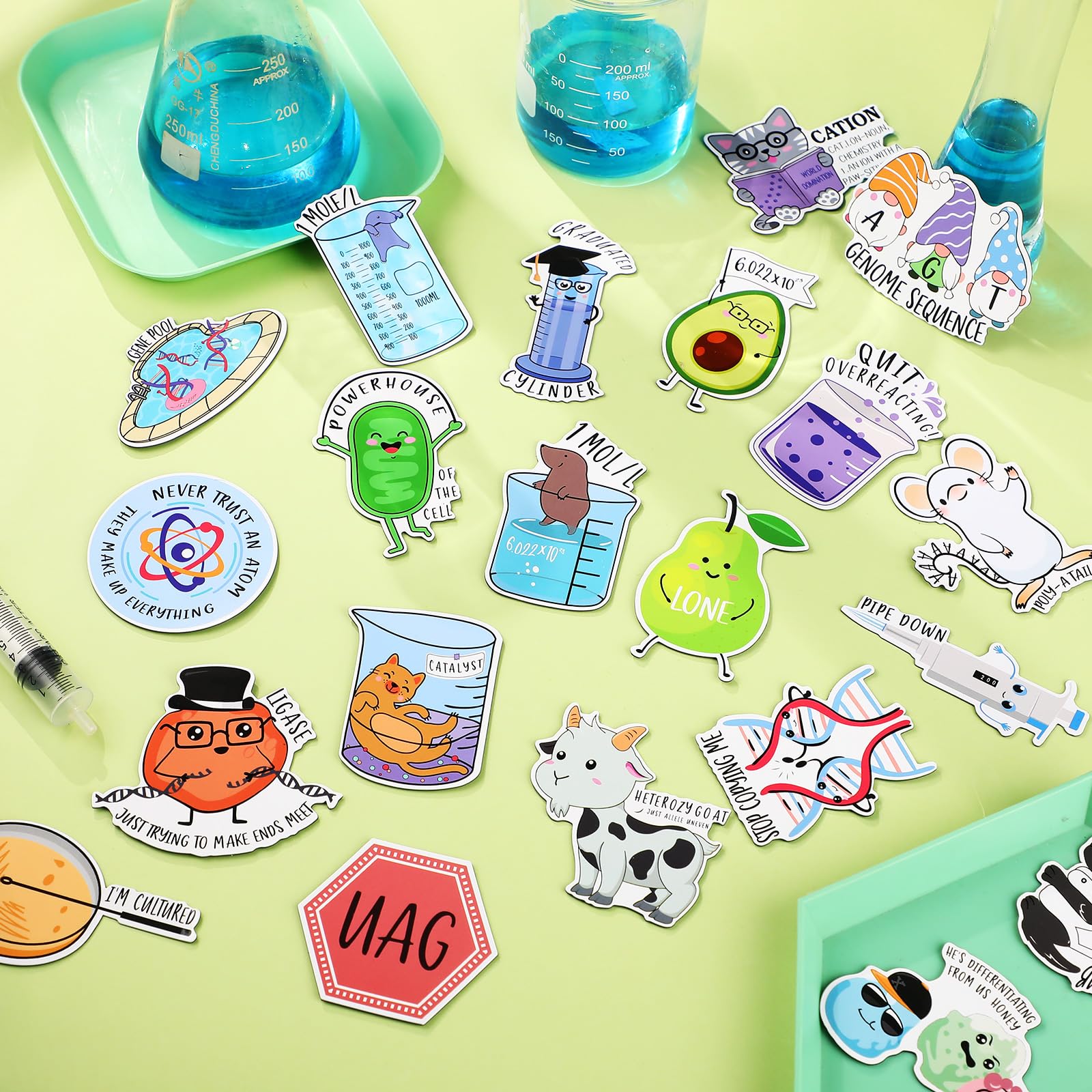 Noveread kitchen magnets decorate cabinets while holding reminders and groceries.