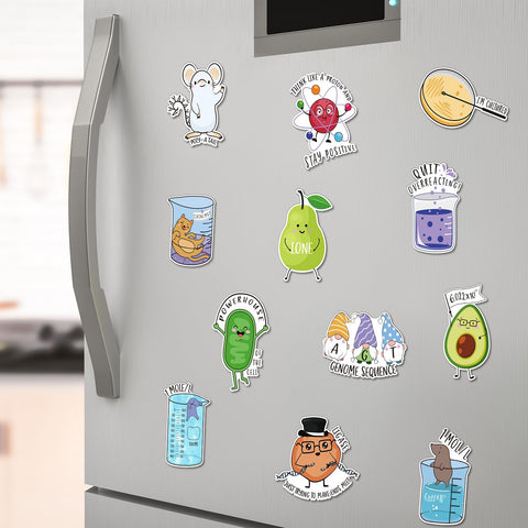 Noveread quippy science magnets spark curiosity and organize everyday messages.