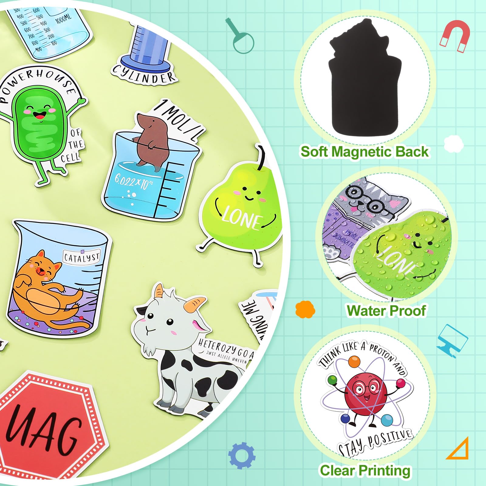 Noveread science-themed magnet set adds character and secures photos easily.