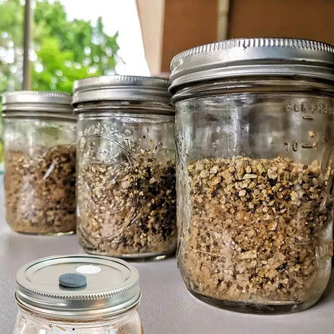 NRAMOOS wide-mouth jar lid setup ready for mushroom cultivation.