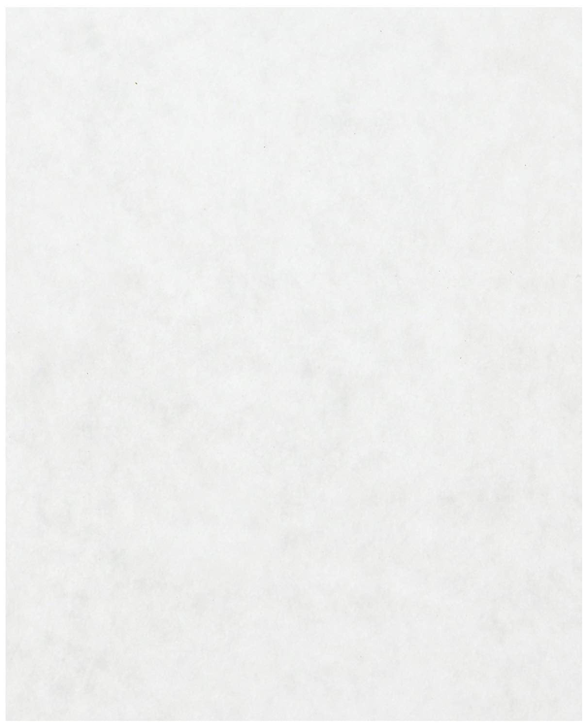 Oasis Supply semi-translucent patty paper reveals treats while wrapping