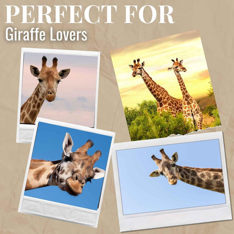 Onebttl giraffe gift idea that delights giraffe lovers
