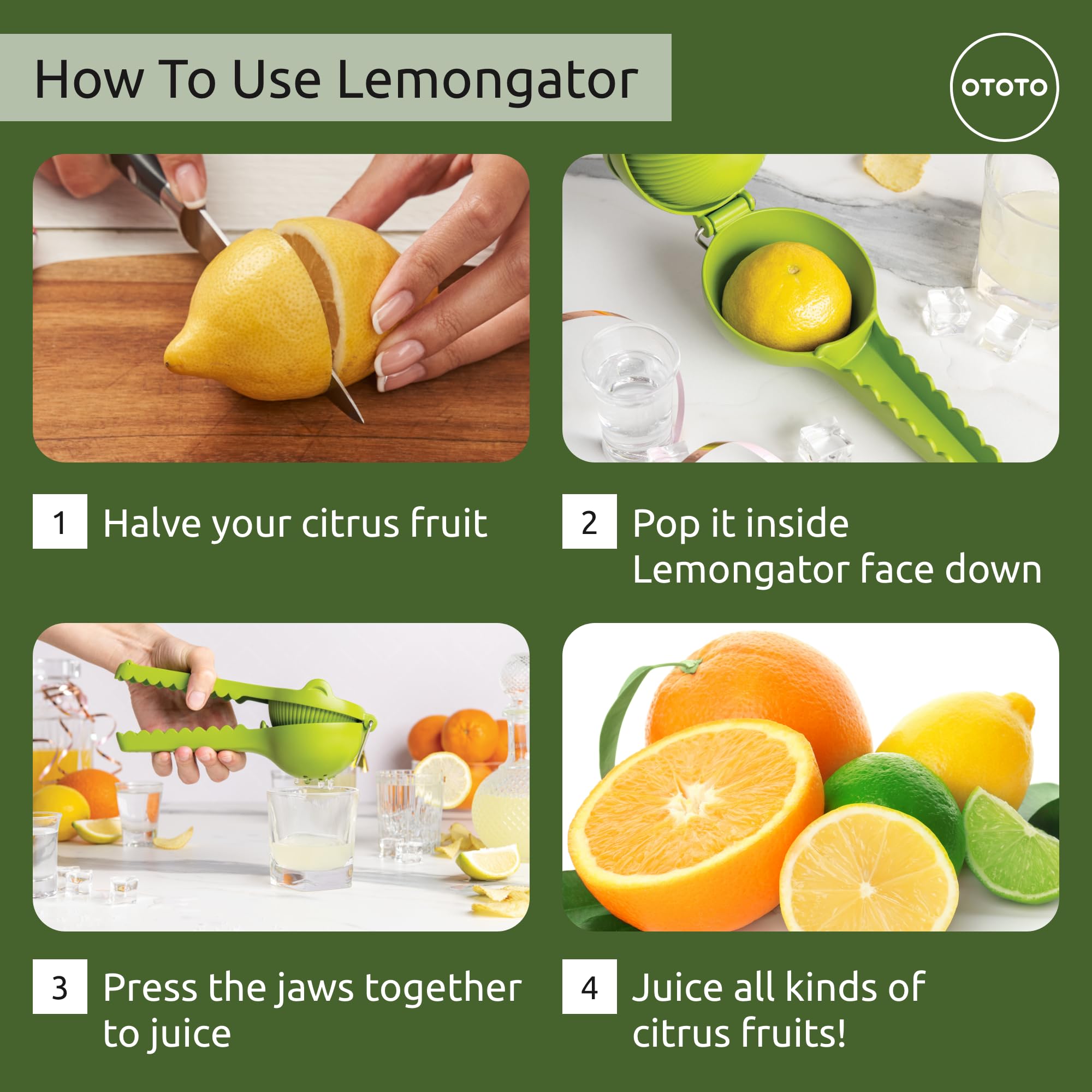 OTOTO Lemongator quirky kitchen design adds playful charm.
