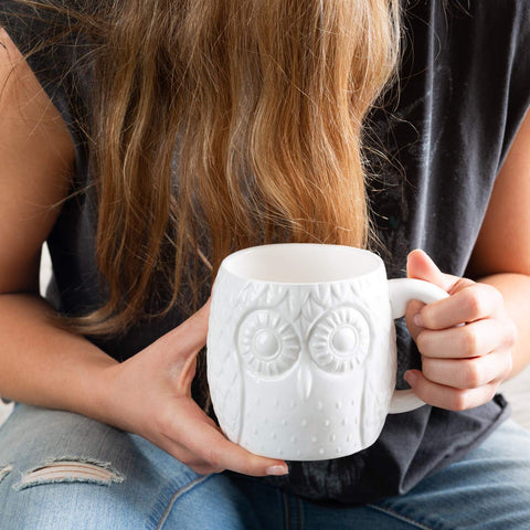 Owl Aisle mug arrives in a gift-ready box for owl lovers.