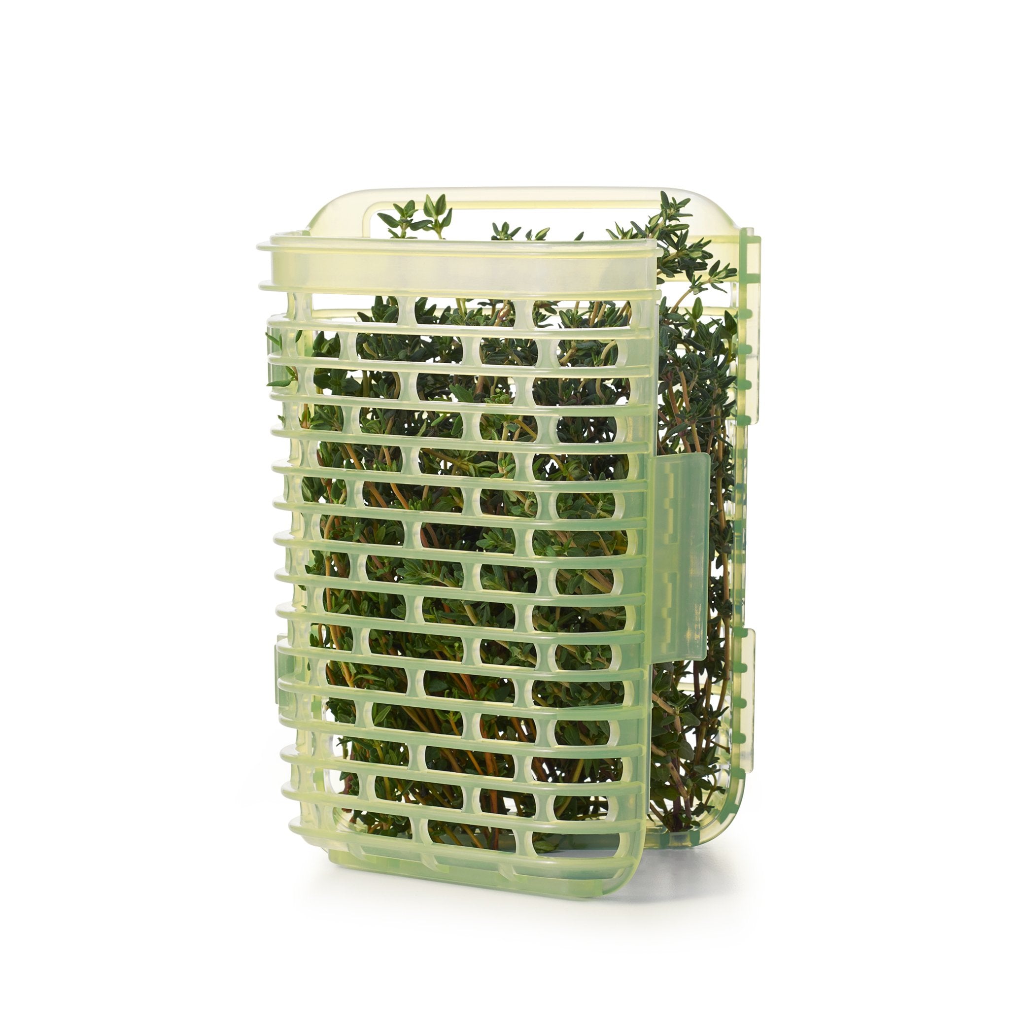 OXO Greensaver sage keeps aroma fresh from harvest to fridge