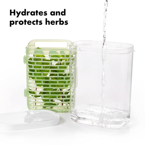 OXO Greensaver water-bottom hydrates herbs, delaying wilting during storage