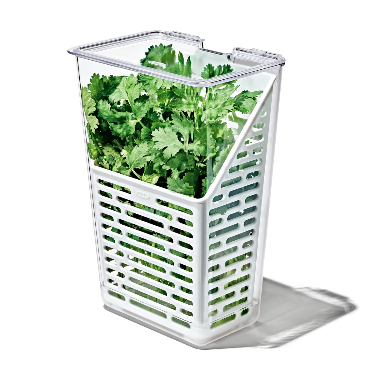 OXO Good Grips Herb Keeper with parsley demonstrates the humidity fill line for freshness.