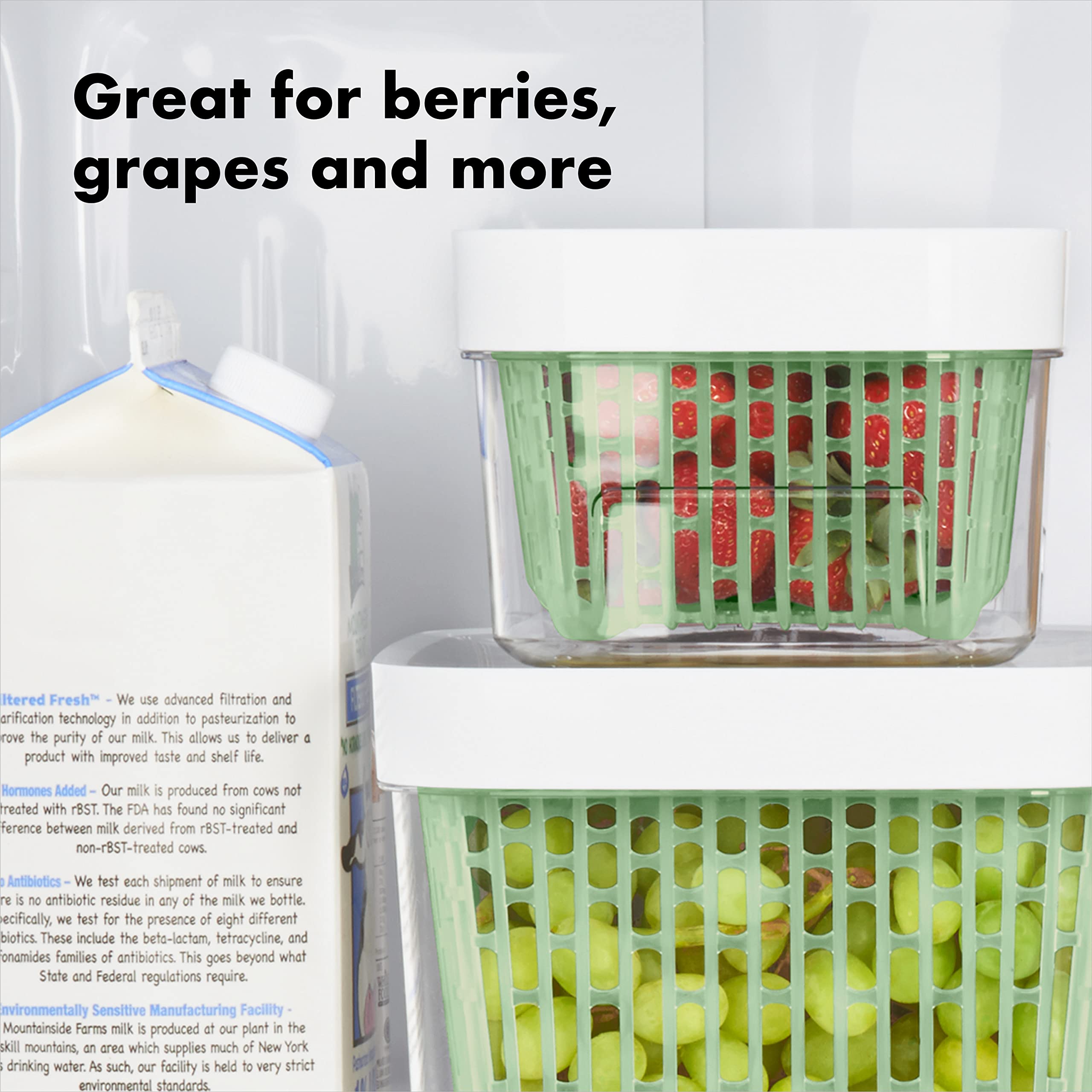 OXO coconut carbon filter component helps manage ethylene for produce freshness.