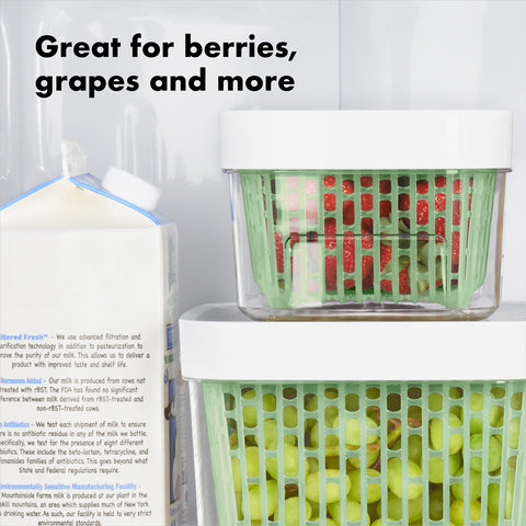 OXO coconut carbon filter component helps manage ethylene for produce freshness.