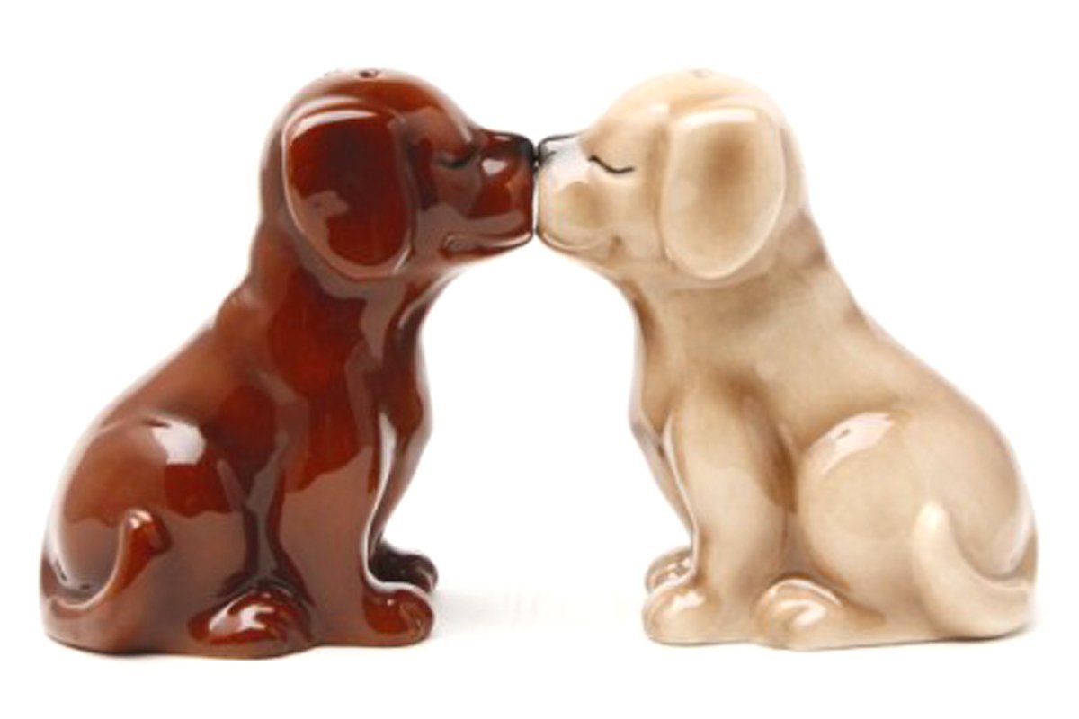 Pacific Giftware Labrador Puppies magnetic salt and pepper shakers for charming kitchen decor and easy seasoning.