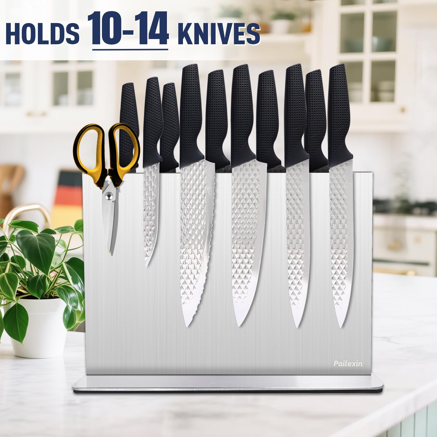 Pailexin dishwasher-safe block for effortless cleaning and maintenance