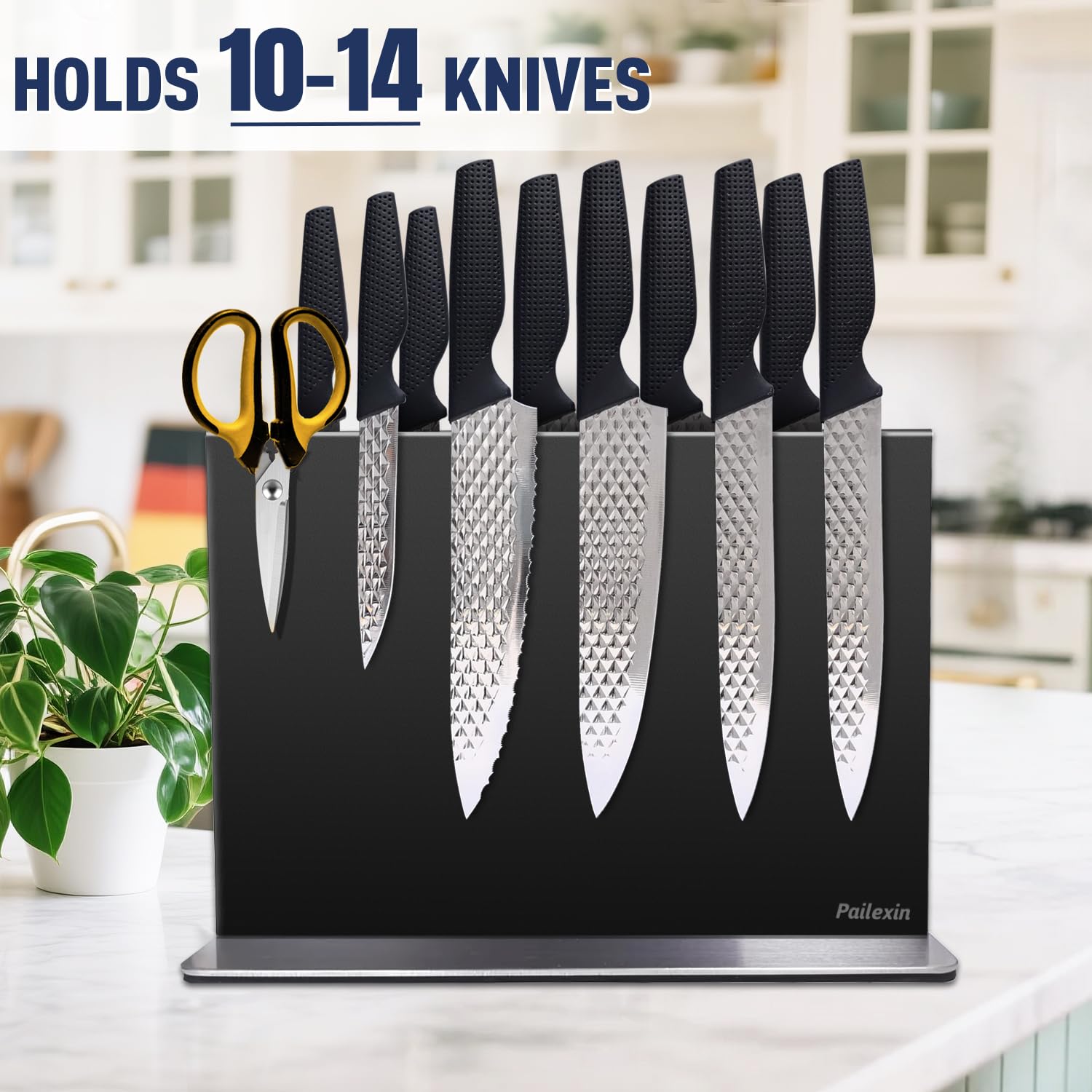 Pailexin stainless surface resists rust and scratches while keeping blades sharp.