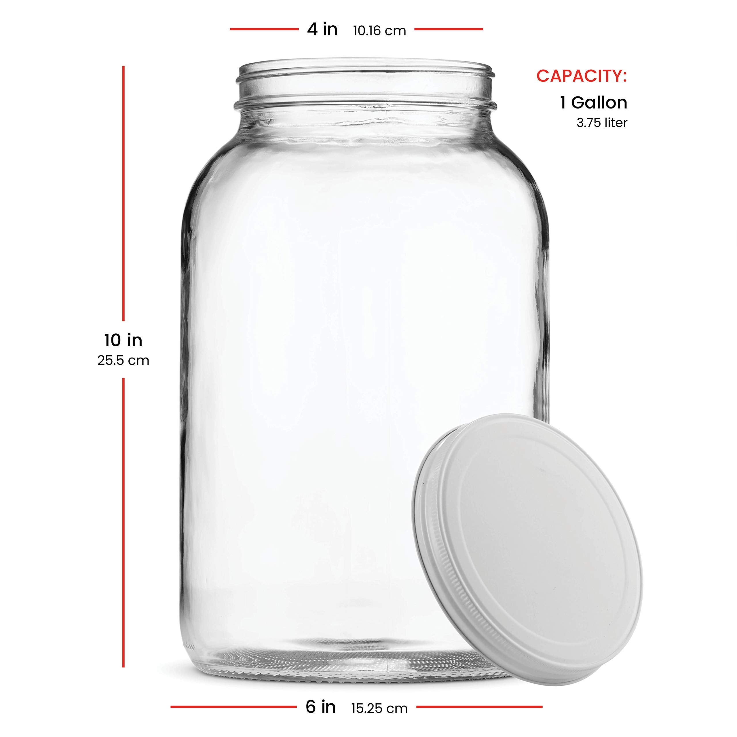 Paksh Novelty BPA-free jar for safe food storage.