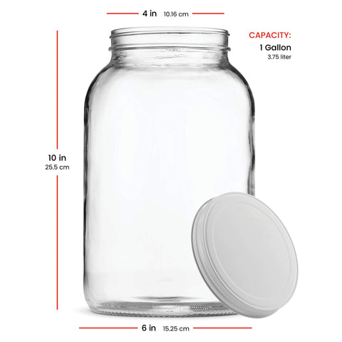 Paksh Novelty BPA-free jar for safe food storage.