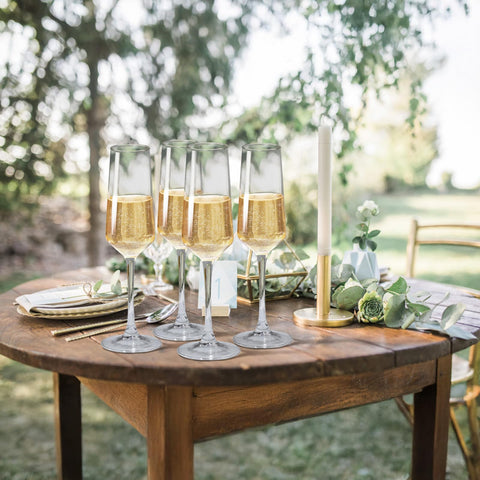 PARACITY champagne flutes for entertaining at home bars and dining.