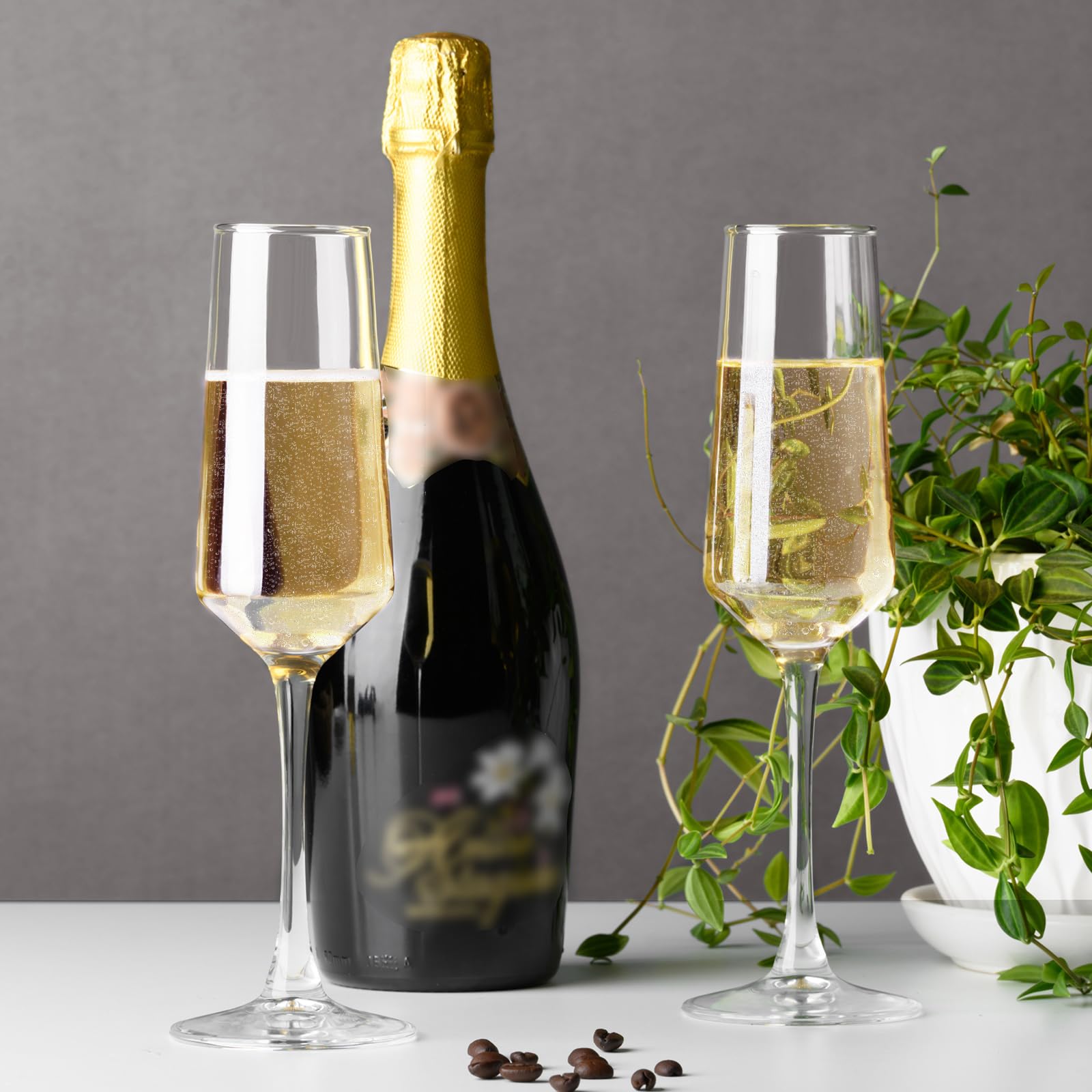 PARACITY versatile glassware suitable for home bar, dining table, or events.