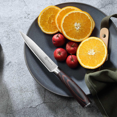 PAUDIN gift-packaged knife ready for gifting occasions